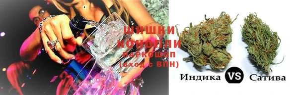 сатива Липки