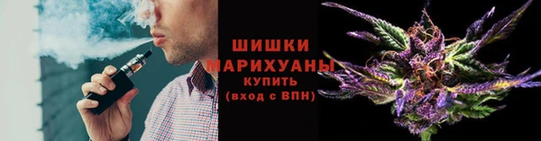 сатива Липки