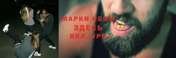 сатива Липки