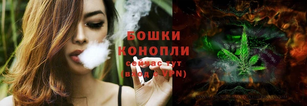 сатива Липки