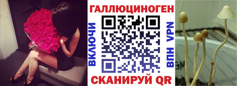 Псилоцибиновые грибы Psilocybe  купить наркоту  Михайловка 