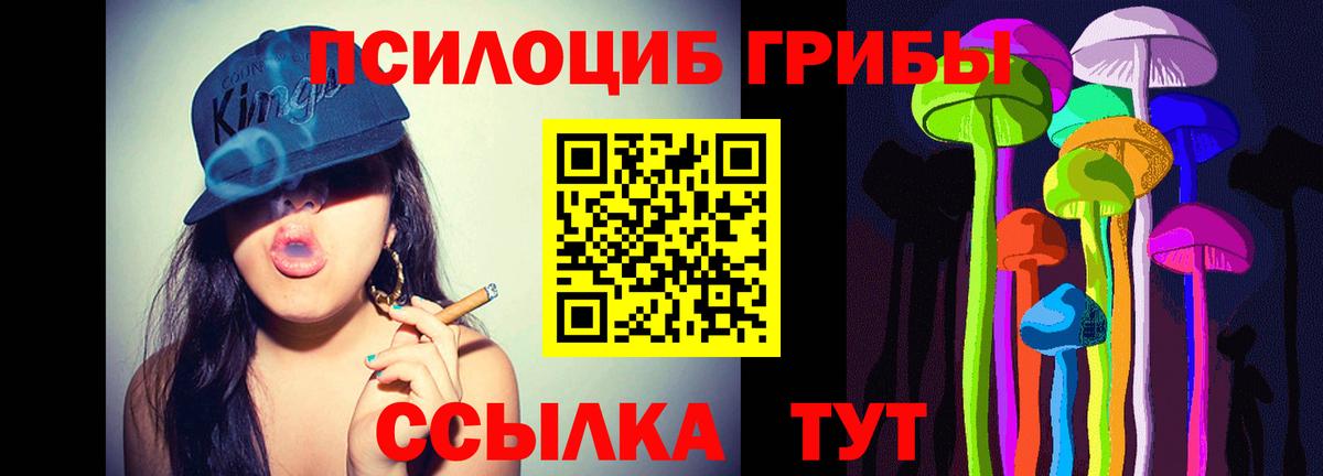 Галлюциногенные грибы ЛСД Михайловка